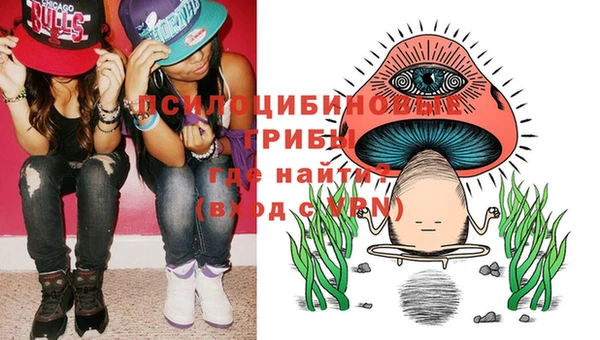 соль курить ск Белокуриха