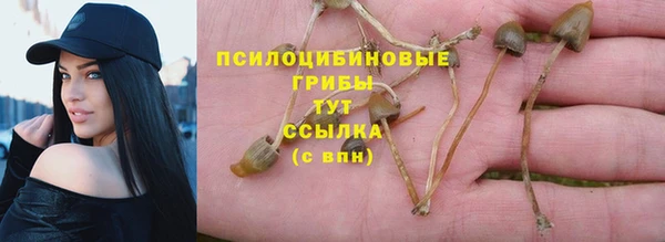 соль курить ск Белокуриха