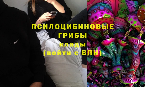 соль курить ск Белокуриха
