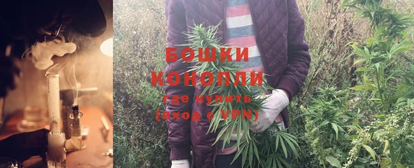 ПСИЛОЦИБИНОВЫЕ ГРИБЫ Беломорск