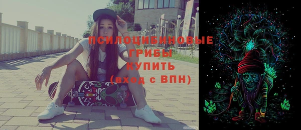 ПСИЛОЦИБИНОВЫЕ ГРИБЫ Беломорск