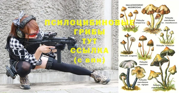 соль курить ск Белокуриха