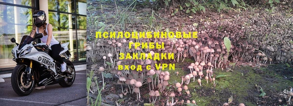 ПСИЛОЦИБИНОВЫЕ ГРИБЫ Беломорск