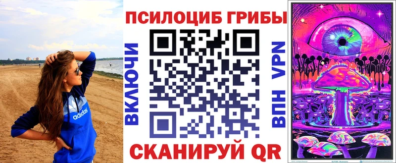 Галлюциногенные грибы Cubensis купить наркотик дарк нет состав Очёр